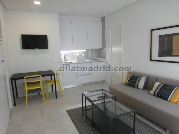 Apartamento Tranquilo en Chamartin de 1 Dormitorio #1499 en Madrid