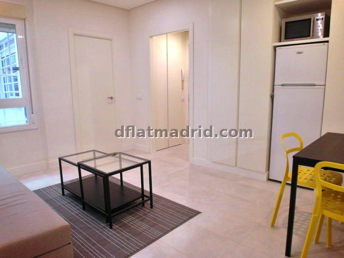 Apartamento Tranquilo en Chamartin de 1 Dormitorio #1499 en Madrid