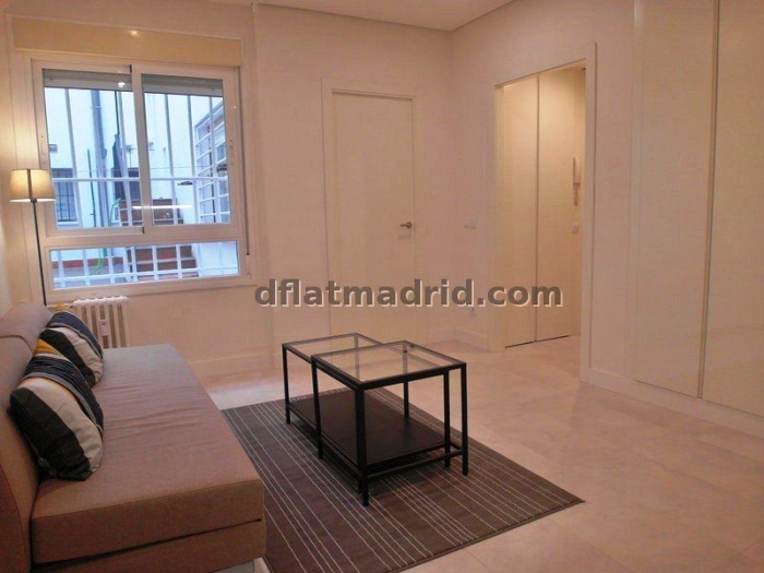 Apartamento Tranquilo en Chamartin de 1 Dormitorio #1499 en Madrid