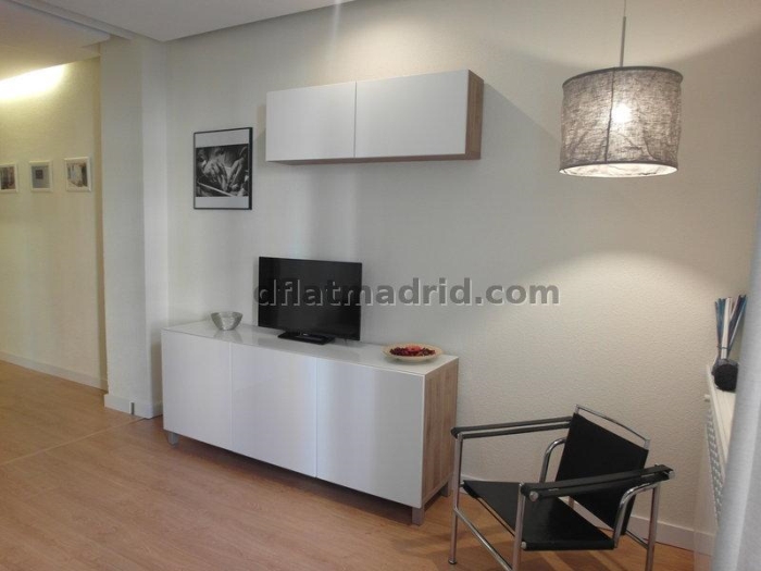 Apartamento Luminoso en Centro de 2 Dormitorios #1533 en Madrid