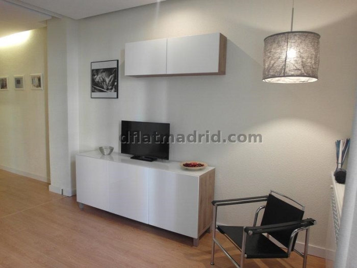 Bright Apartment in Centro of 2 Bedrooms #1533 in Madrid