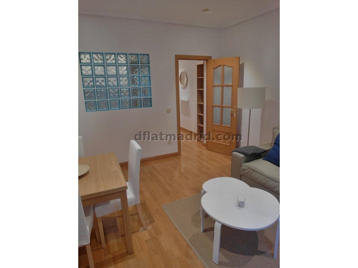 Apartamento Luminoso en Chamartin de 1 Dormitorio #1534 en Madrid