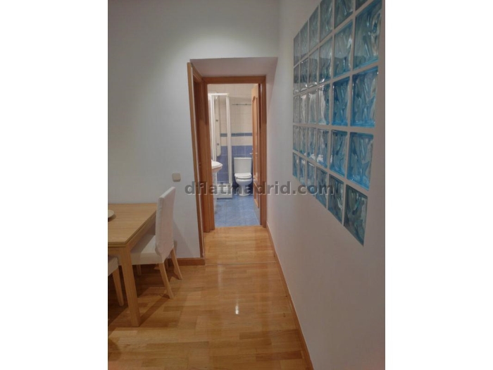 Bright Apartment in Chamartin of 1 Bedroom #1534 in Madrid