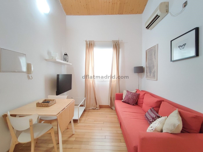 Apartamento en Chamartin de 1 Dormitorio #1535 en Madrid