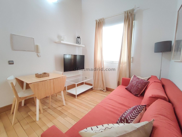 Apartamento en Chamartin de 1 Dormitorio #1535 en Madrid