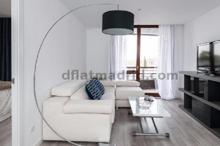 Apartamento Luminoso en Chamartin de 1 Dormitorio con terraza #1616 en Madrid