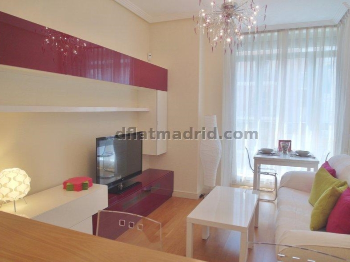 Apartamento en Chamartin de 1 Dormitorio #1617 en Madrid