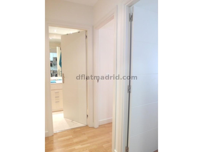 Apartamento en Chamartin de 1 Dormitorio #1617 en Madrid