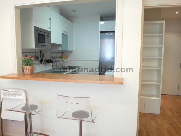 Apartamento en Chamartin de 1 Dormitorio #1617 en Madrid