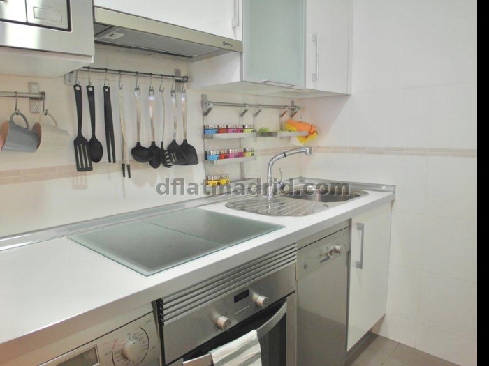 Apartamento en Chamartin de 1 Dormitorio #1617 en Madrid