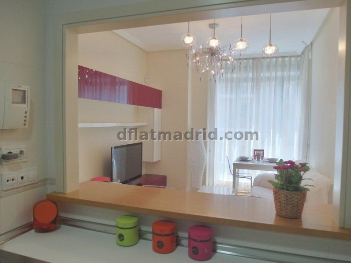 Apartamento en Chamartin de 1 Dormitorio #1617 en Madrid