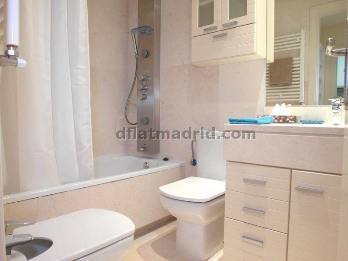 Apartamento en Chamartin de 1 Dormitorio #1617 en Madrid