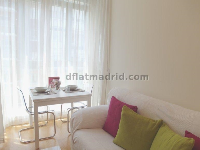 Apartamento en Chamartin de 1 Dormitorio #1617 en Madrid