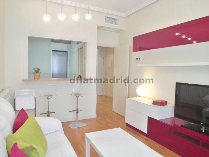 Apartamento en Chamartin de 1 Dormitorio #1617 en Madrid