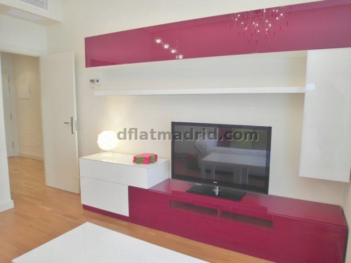 Apartamento en Chamartin de 1 Dormitorio #1617 en Madrid