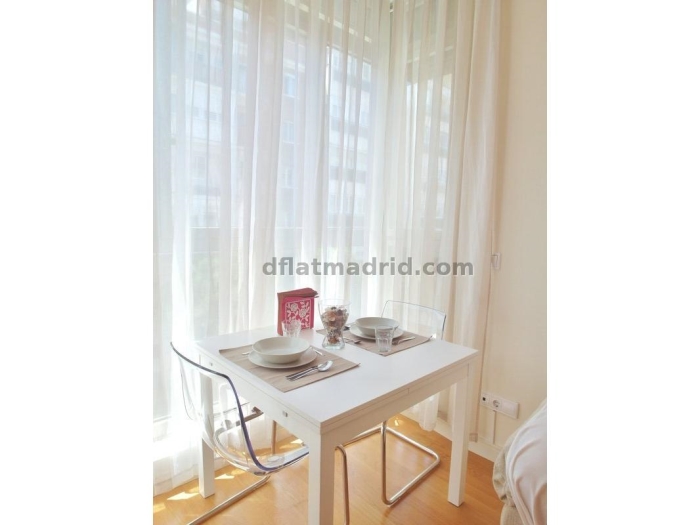Apartamento en Chamartin de 1 Dormitorio #1617 en Madrid