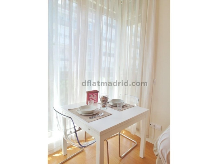 Apartment in Chamartin of 1 Bedroom #1617 in Madrid