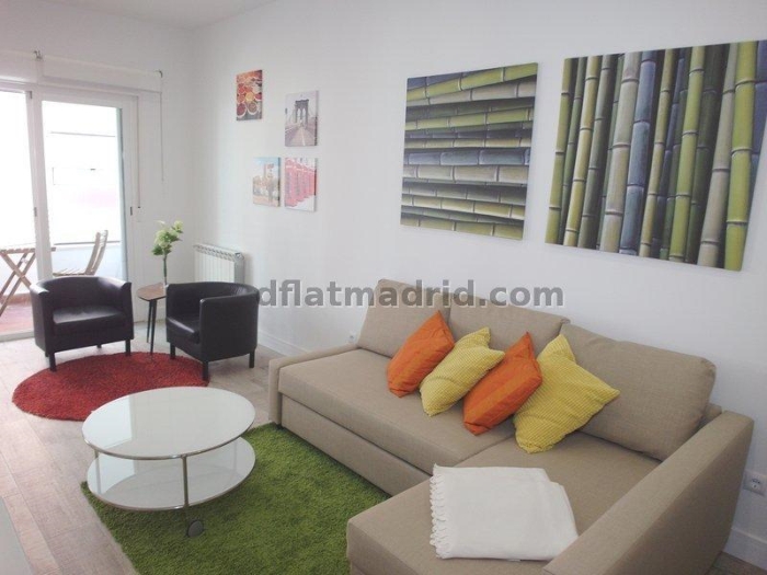 Spacious Apartment in Chamartin of 2 Bedrooms with terrace #1619 in Madrid