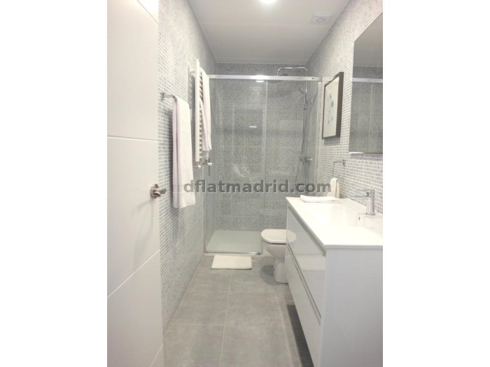 Spacious Apartment in Chamartin of 2 Bedrooms with terrace #1619 in Madrid