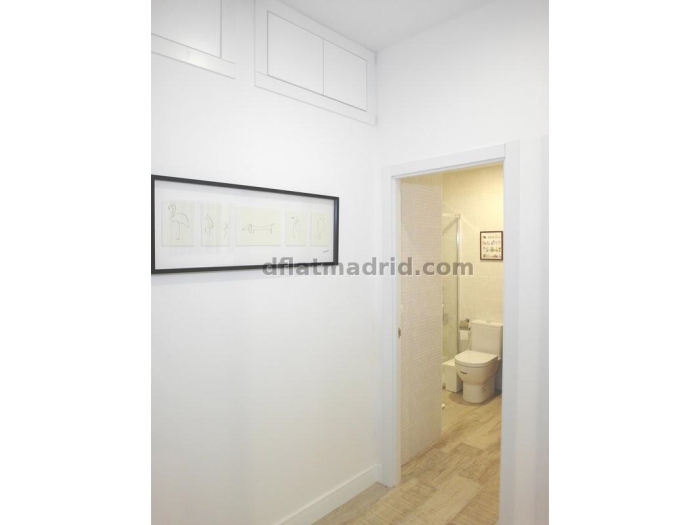 Spacious Apartment in Chamartin of 2 Bedrooms with terrace #1619 in Madrid