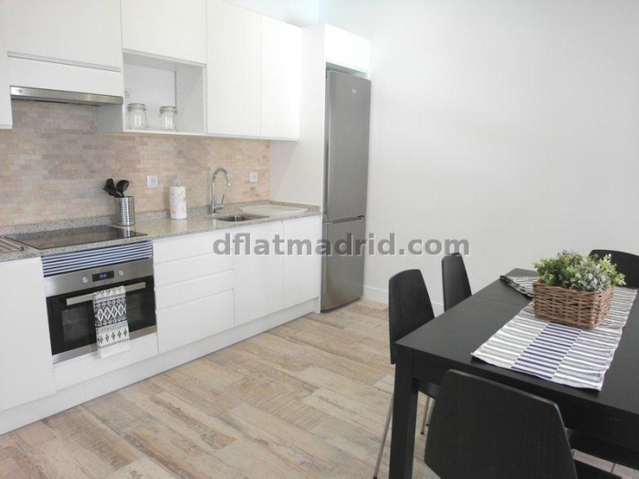 Spacious Apartment in Chamartin of 2 Bedrooms with terrace #1619 in Madrid