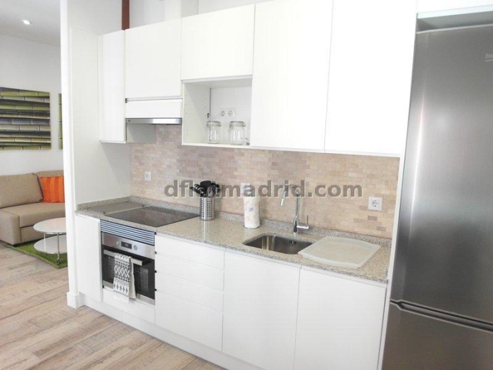 Spacious Apartment in Chamartin of 2 Bedrooms with terrace #1619 in Madrid