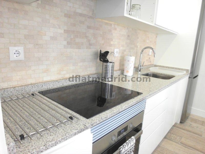 Spacious Apartment in Chamartin of 2 Bedrooms with terrace #1619 in Madrid