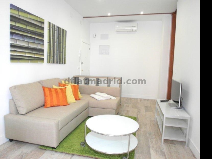 Spacious Apartment in Chamartin of 2 Bedrooms with terrace #1619 in Madrid