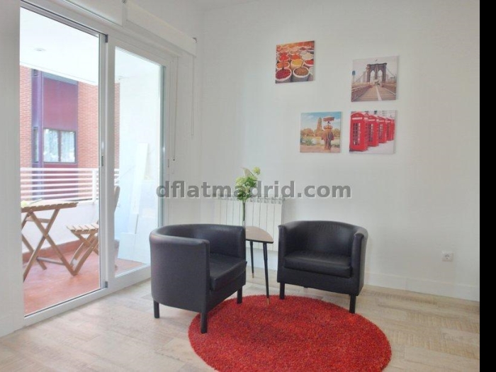 Spacious Apartment in Chamartin of 2 Bedrooms with terrace #1619 in Madrid