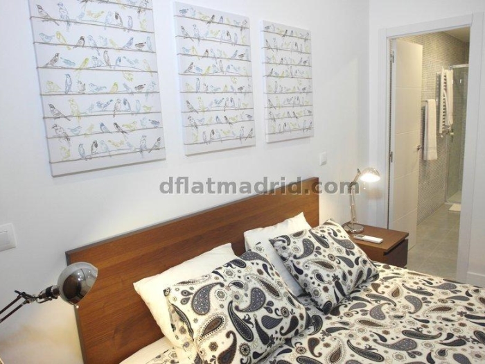 Spacious Apartment in Chamartin of 2 Bedrooms with terrace #1619 in Madrid