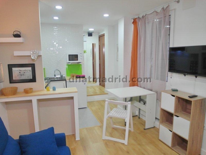 Estudio Tranquilo en Centro #1632 en Madrid