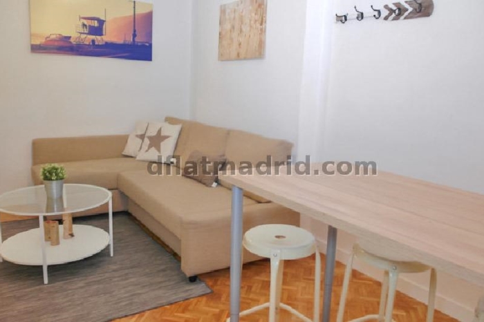 Apartamento en Chamartin de 1 Dormitorio #1642 en Madrid