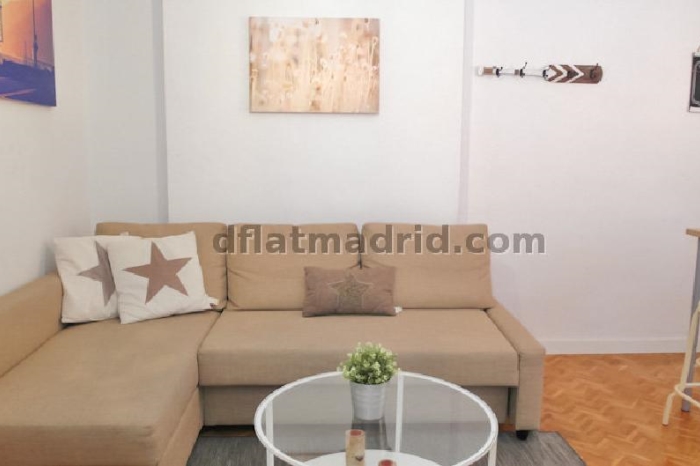 Apartamento en Chamartin de 1 Dormitorio #1642 en Madrid