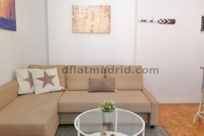 Apartment in Chamartin of 1 Bedroom #1642 in Madrid