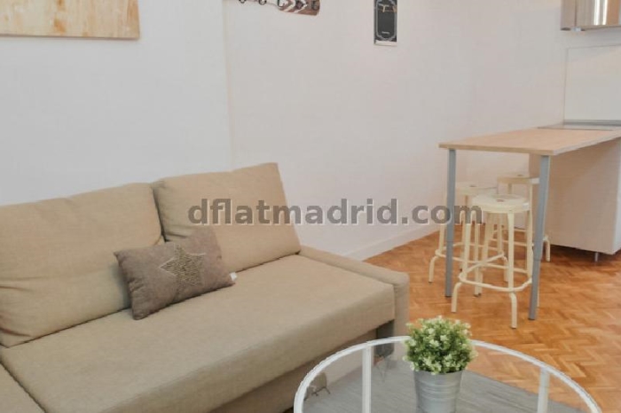 Apartamento en Chamartin de 1 Dormitorio #1642 en Madrid