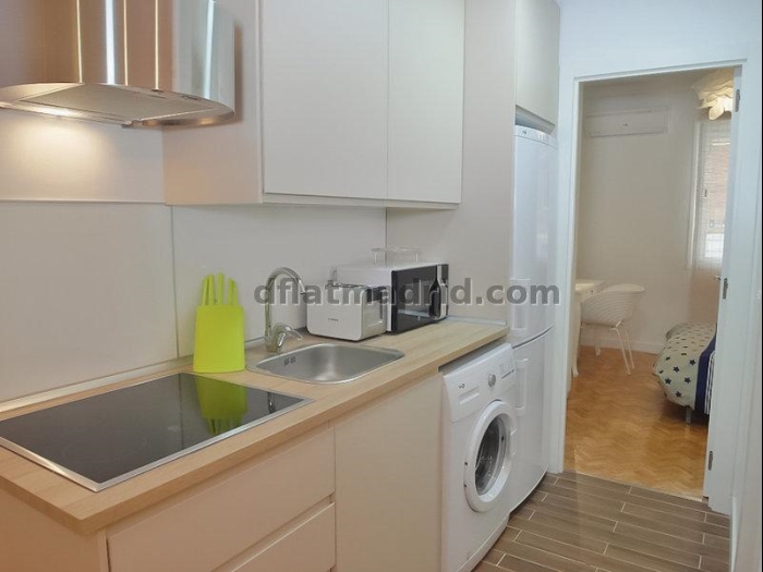 Apartment in Chamartin of 1 Bedroom #1644 in Madrid