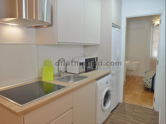 Apartamento en Chamartin de 1 Dormitorio #1644 en Madrid