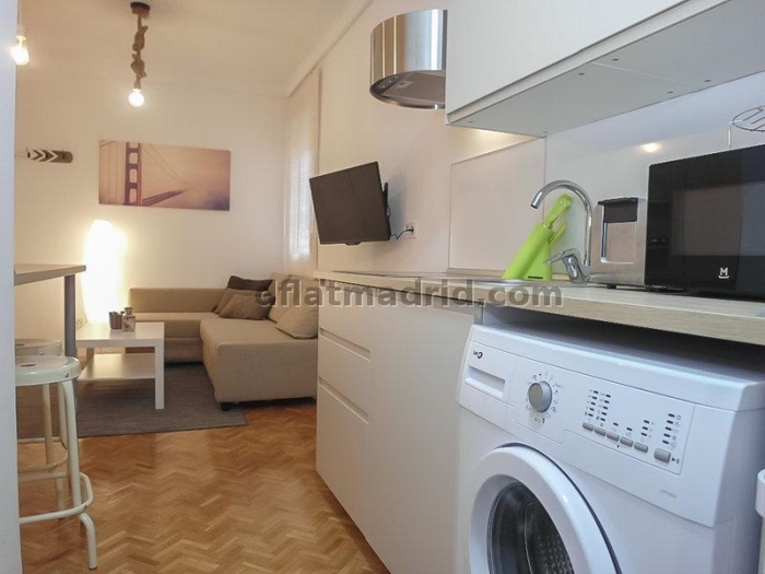 Apartamento en Chamartin de 1 Dormitorio #1644 en Madrid