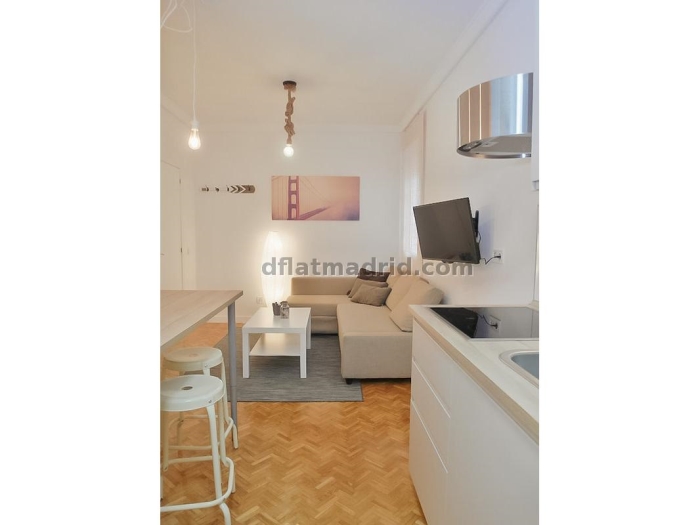 Apartamento en Chamartin de 1 Dormitorio #1644 en Madrid