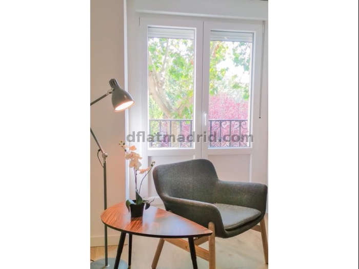 Spacious Apartment in Retiro of 2 Bedrooms #1645 in Madrid