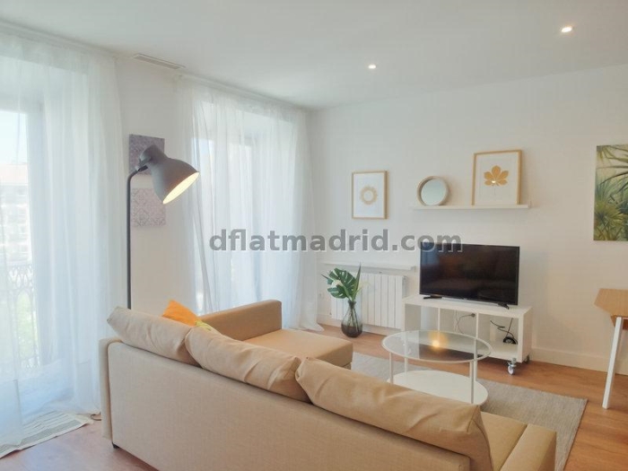 Apartamento Luminoso en Centro de 1 Dormitorio #1648 en Madrid