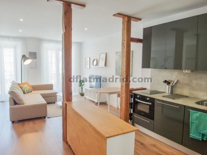 Apartamento Luminoso en Centro de 1 Dormitorio #1648 en Madrid