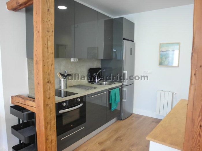 Bright Apartment in Centro of 1 Bedroom #1648 in Madrid