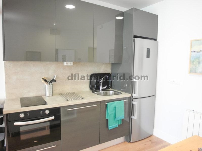 Bright Apartment in Centro of 1 Bedroom #1648 in Madrid