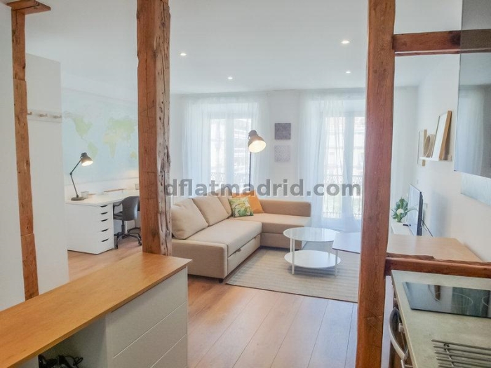 Apartamento Luminoso en Centro de 1 Dormitorio #1648 en Madrid