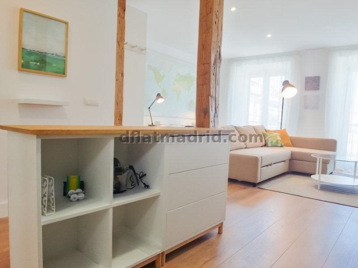 Apartamento Luminoso en Centro de 1 Dormitorio #1648 en Madrid