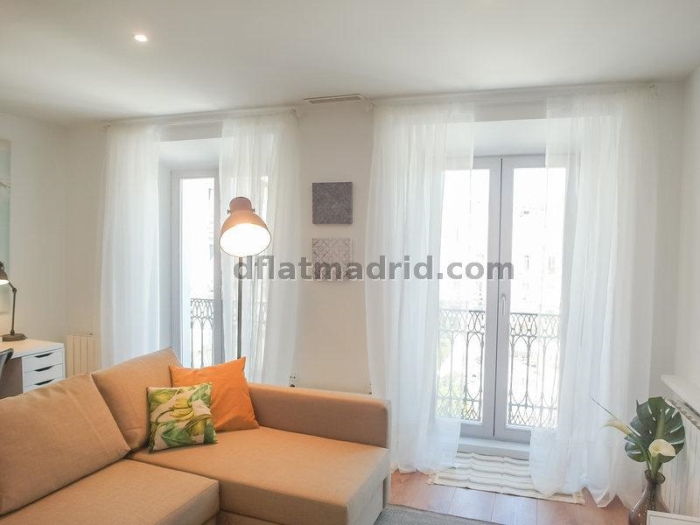 Apartamento Luminoso en Centro de 1 Dormitorio #1648 en Madrid