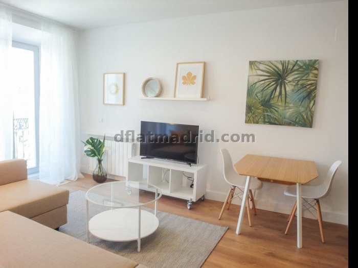 Apartamento Luminoso en Centro de 1 Dormitorio #1648 en Madrid