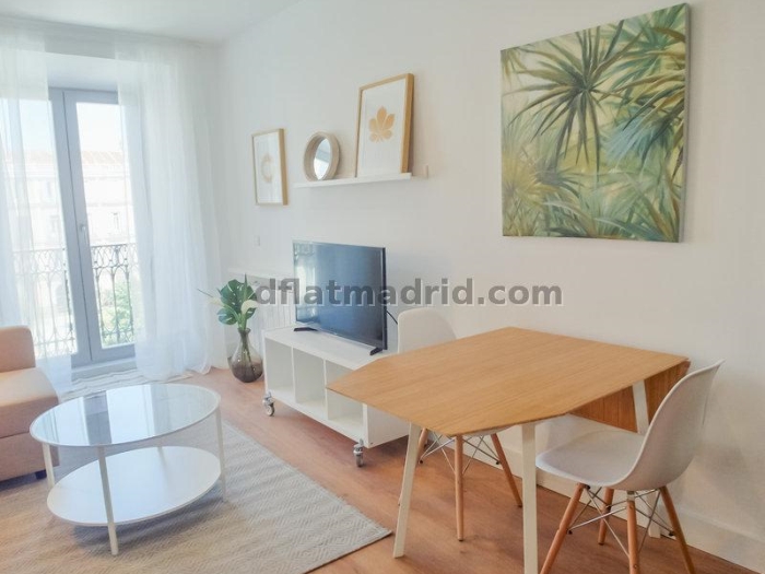 Apartamento Luminoso en Centro de 1 Dormitorio #1648 en Madrid