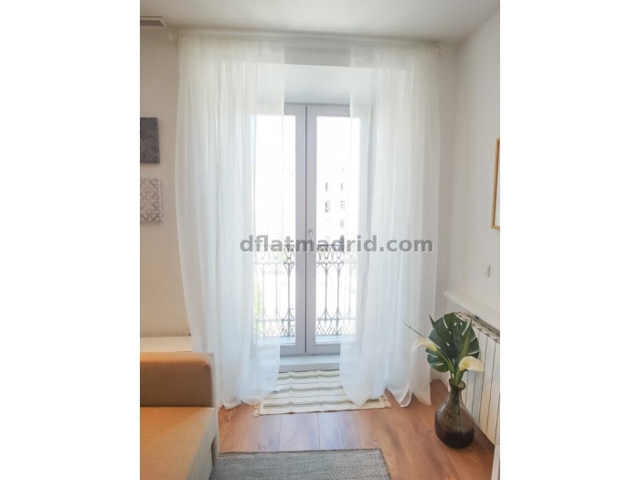 Apartamento Luminoso en Centro de 1 Dormitorio #1648 en Madrid